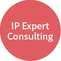 IP Expert Consulting