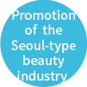 Promotion of the Seoul-type beauty industry